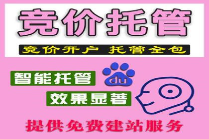 SEM托管公司案例研究：优化策略解析